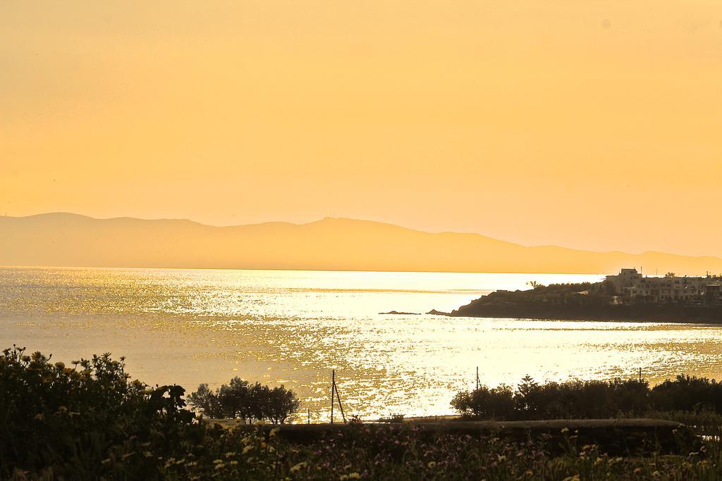 Akrotiraki Villas Tínos Kültér fotó